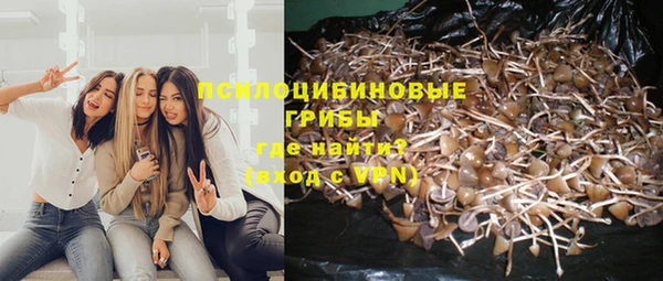 амф Покров