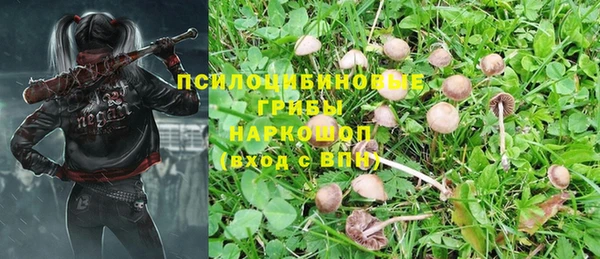 амф Покров